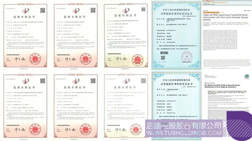 1700115437397798.jpg 5c.jpg